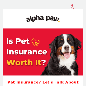 Is Pet Insurance Worth It?🐶