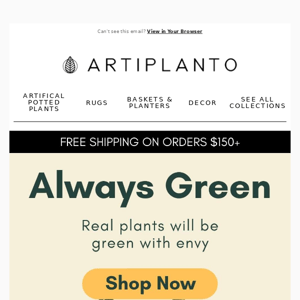 🪴Artiplanto These Plants Are Always Green