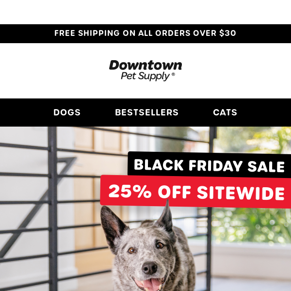 Black Friday Sale: 25% OFF SITEWIDE