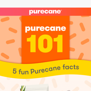 Get to Know Purecane 🤓