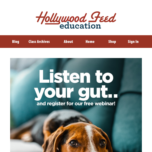 You've Been Invited to Our Free Webinar on Gut Health! 🖥️