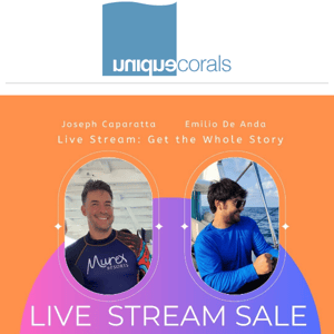 UC Livestream sale tonight ! Join Joe and Emilio for a one of a kind UC Livestream sale ! Ask questions + more  ﻿ ﻿ 　　