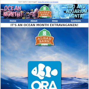 ORA Corals, Clams, and Fish!  + 15% off All Coralline! :  Welcome to Oceans Month @Algaebarn