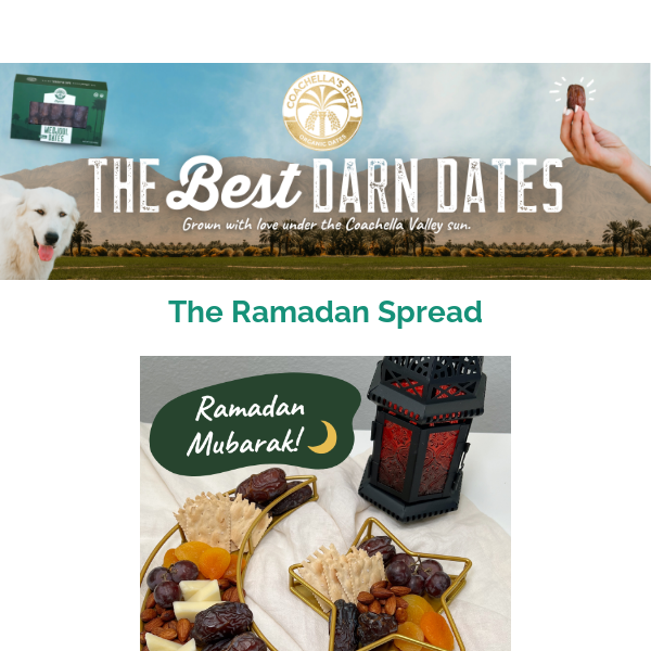 New Recipe: The Ramadan Spread 🌙✨