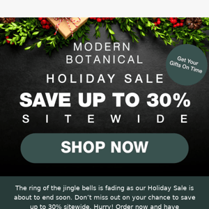 🎅 Ho ho ho.. our Holiday Sale is ending soon…