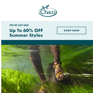 10% off | You've got a taste for adventure !