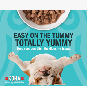 10% OFF Select Minimal Ingredient Stews for Dogs
