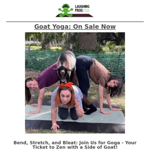 Yoga Unleashed: Puppy And Goat Yoga🐐🐶