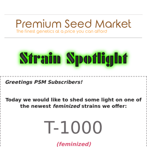 💡 Strain Spotlight: T-1000 (feminized)💡