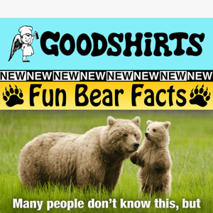 Fun Bear Facts! 🐻