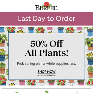LAST DAY! 50% Off ALL Plants