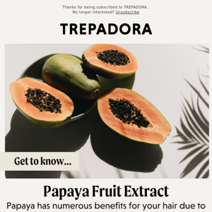 🥭Ingredients 101: Papaya Fruit Extract