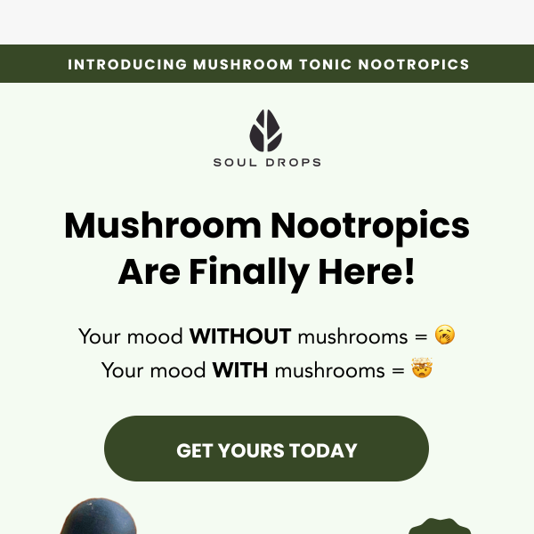 Mushroom Tonic Nootropics are here 🍄