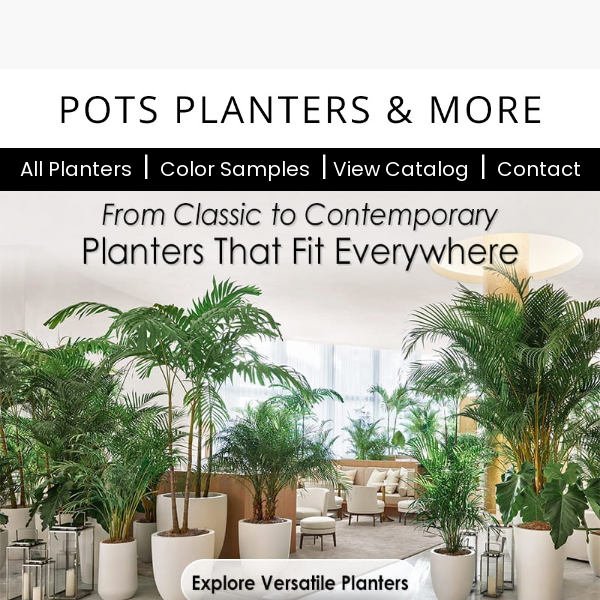 From Classic to Contemporary: Planters that Fit Everywhere