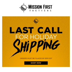 🚨 LAST CALL for Holiday Shipping 🚨