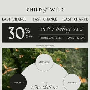 .:. LAST CHANCE .:. 30% off well : being sale ends tonight!