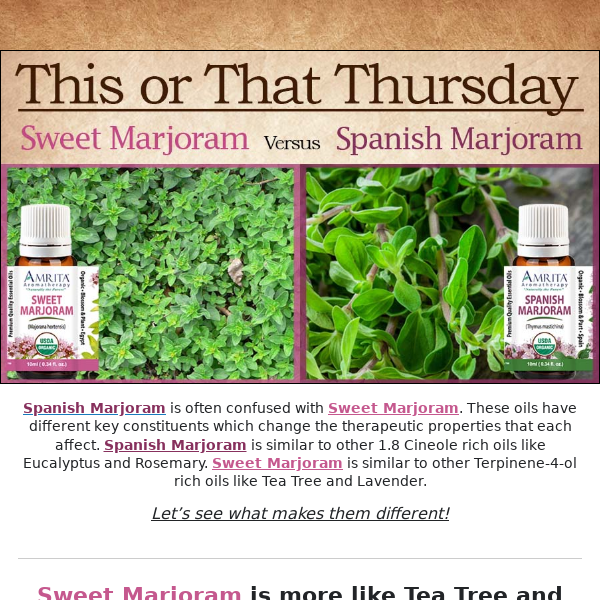 How Different is Spanish versus Sweet Marjoram?