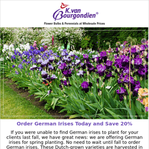Shop spring-shipped German irises and save 20%