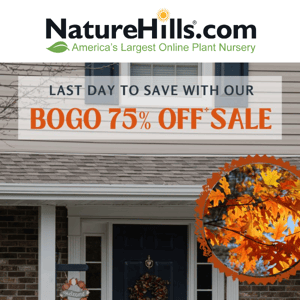 Last Call! BOGO 75% Off Ends TODAY