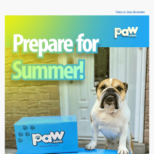 Is Your Furry Friend Ready For Summer? ☀️🐕