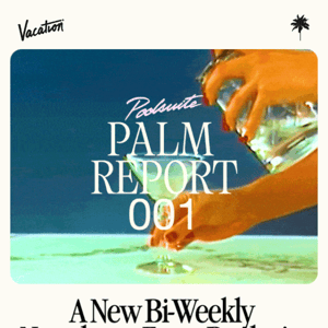 Poolsuite Presents: Palm Report 🌴