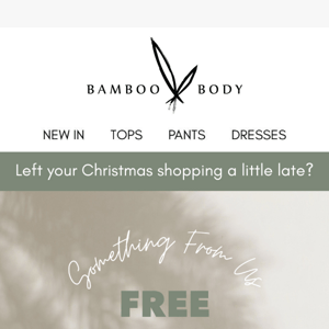 FREE Express Shipping For Christmas!