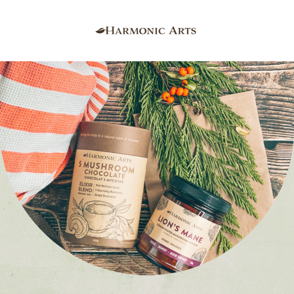 Our Herbal Holiday Gift Guide is here! 🎁