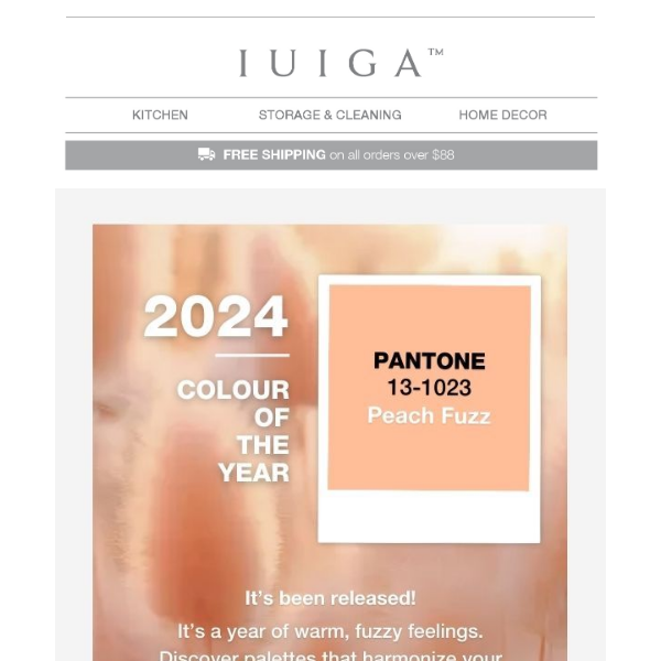 2024 Pantone Colour Revealed! 🌈