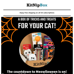 Our Meowlloween Box Guaranteed!! No Tricks About It!! 🎃