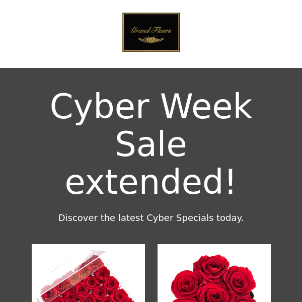 🌹 Cyber Week Sale Ends Tomorrow!