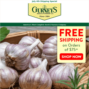 Garlic—for health as well as flavor