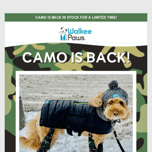 At Last! Camo Boot Leggings Are Back!