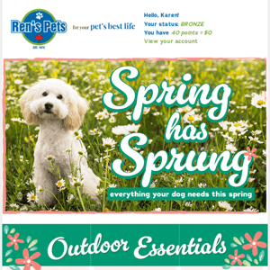 Everything Your Pet Needs This Spring! + Save 40% off Benny Bully's
