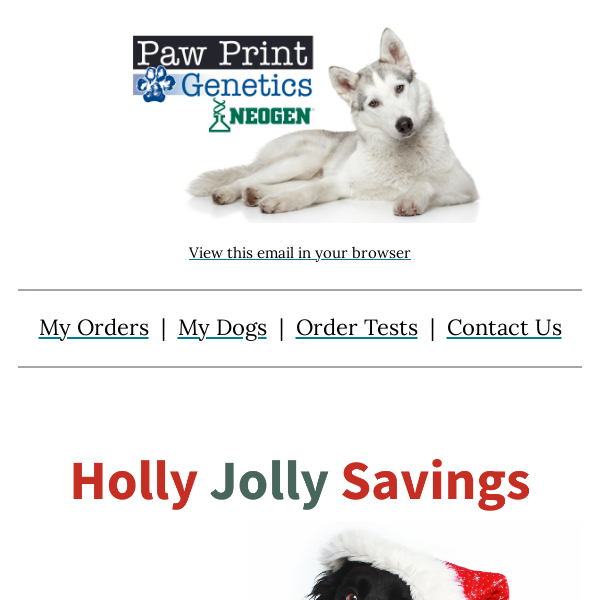 Holly Jolly Savings! 🎅