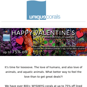 2023 UC Valentines Day Flashsale underway now !! Over 800+ WYSIWYG corals at up to 75% off!  ﻿ ﻿ 　　