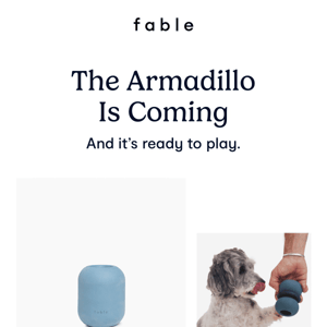 New Arrival Alert: The Armadillo