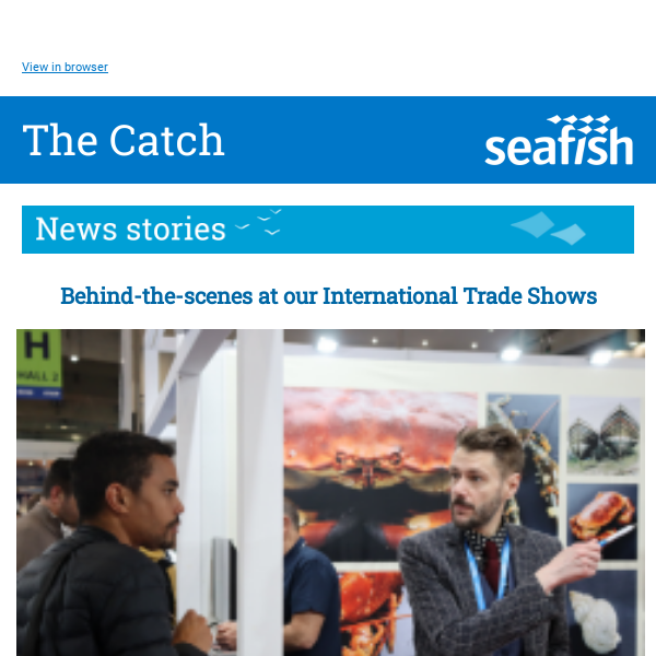 The Catch - Seafish February 2024