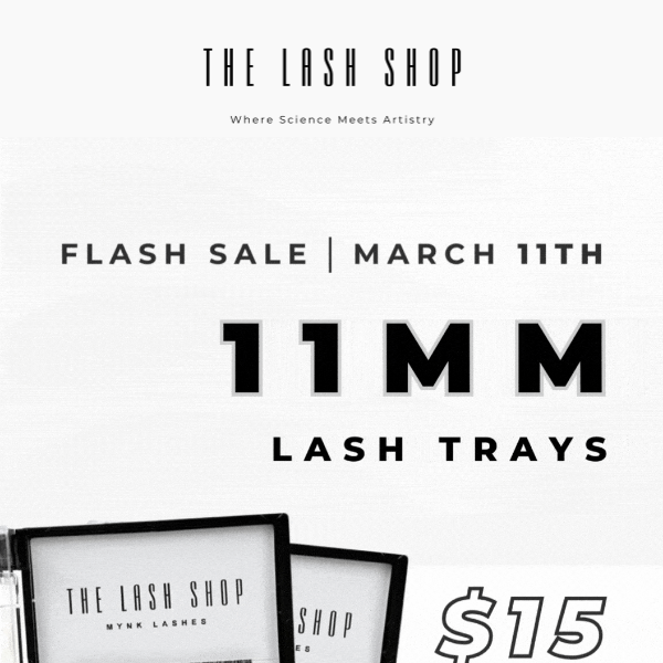 $15 Lash Trays TODAY ONLY! 🚨