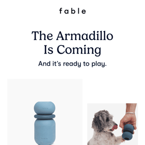 New Arrival Alert 🚨: The Armadillo