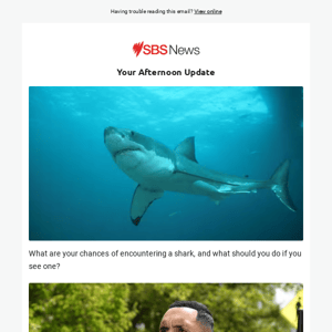 What to do if you spot a shark | Kyrgios assault charge dismissed | Far-right threat rises