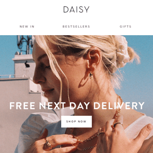 Free Next Day Delivery