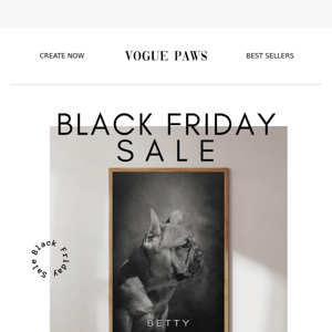 Black Friday Sale Now Live!