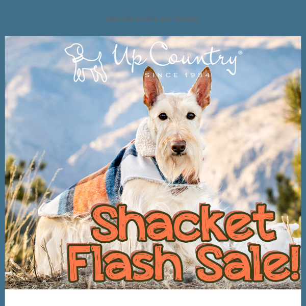 Shacket Flash Sale!
