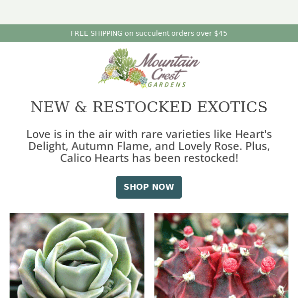 New & Restocked Exotics! ❤️