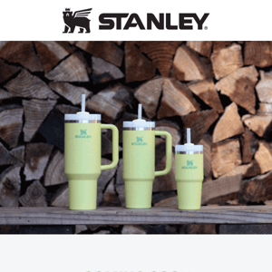 Introducing Stanley's Scary-Good Deco Collection Quenchers - Stanley
