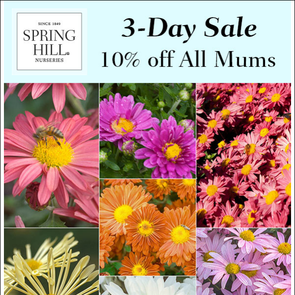 🤫 Mums the word... this deal is just for you