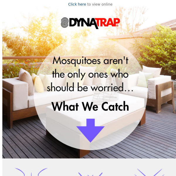 DynaTrap® Indoor Ultralight Insect Trap