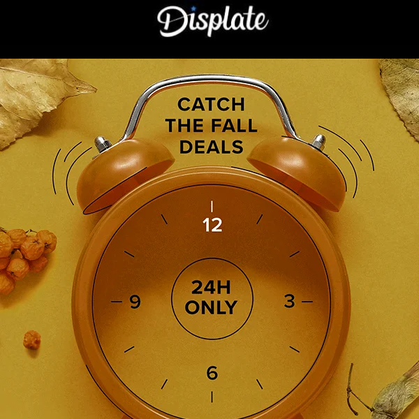 🍁 Collector, grab your 24-Hour Fall Deal NOW
