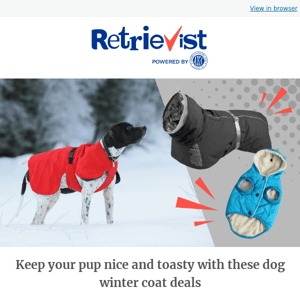 Looking for a warm dog winter coat? We've got you covered.