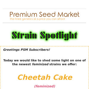 💡 Strain Spotlight: Cheetah Cake (feminized) 🍰